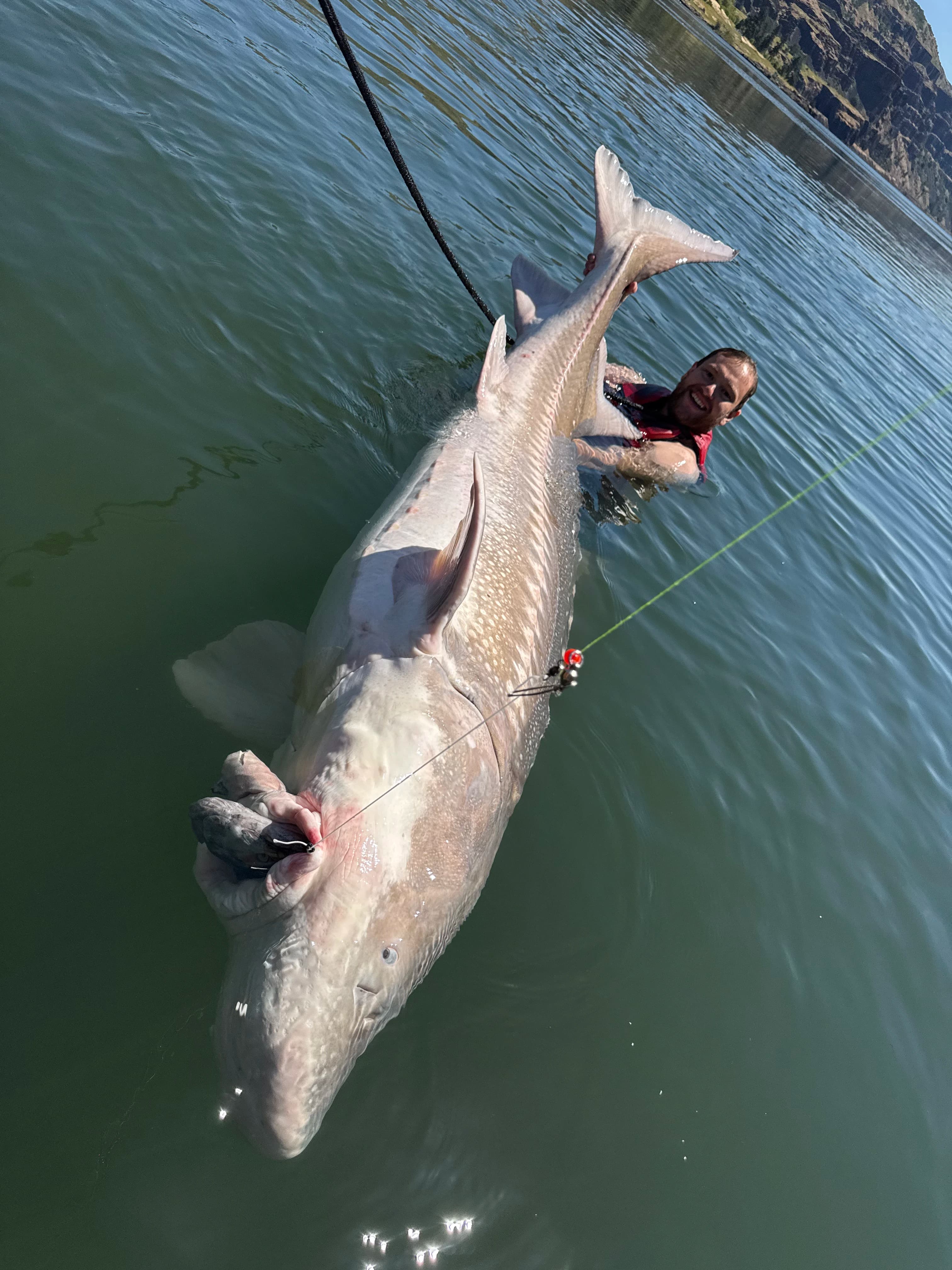 White Sturgeon Trip